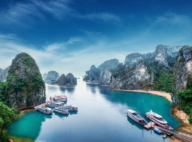 xr:d:DAFtGFKuNy8:1595,j:3364593168915984476,t:23092717